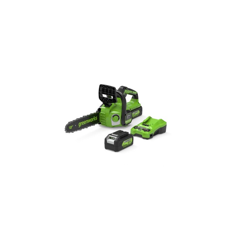 GREENWORKS GD24CS30